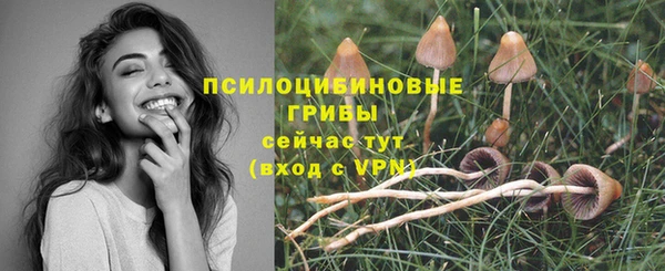 ешки Алексеевка