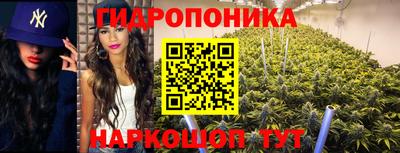 дмт Донецк