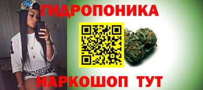 крисы Ноябрьск