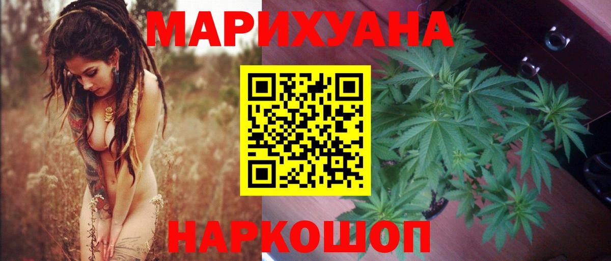 Бошки Шишки семена Муравленко